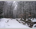 dscn2396.jpg