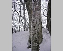 dscn2398.jpg