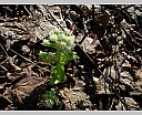 DSCN5862.JPG