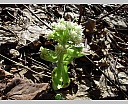 DSCN5863.JPG