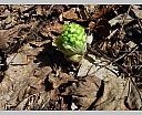 DSCN5864.JPG