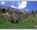 DSCN5867.JPG