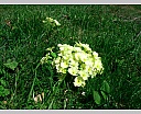 DSCN5868.JPG