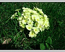 DSCN5869.JPG