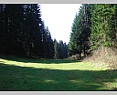 0gDSC04239.JPG