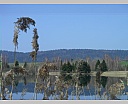 0lDSC04247.JPG
