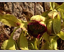 0pDSC04258.JPG