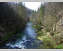 Bienne