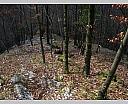 1nDSCN5760.JPG