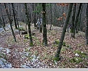1nDSCN5761.JPG