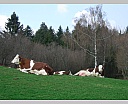 1wDSCN5781.JPG