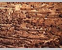 1xDSC04319.JPG