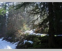 2sDSCN5812.JPG