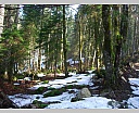 2tDSCN5813.JPG