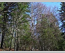 2tDSCN5814.JPG