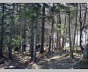 2uDSCN5816.JPG