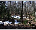 2vDSCN5818.JPG