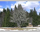 2yP1060910.JPG