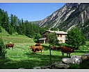 DSCN6596.JPG