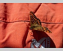 DSCN6600.JPG