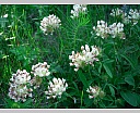 DSCN6601.JPG