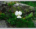 DSCN6602.JPG