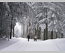 DSCN5648.JPG