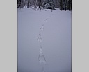 DSCN5649.JPG