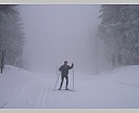 DSCN5651.JPG
