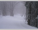 DSCN5659.JPG