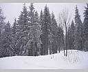 DSCN5662.JPG