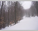 DSCN5666.JPG
