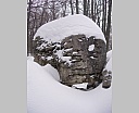 DSCN5673.JPG