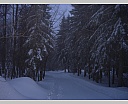 DSCN5683.JPG