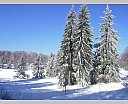 DSCN5686.JPG