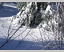 DSCN5690.JPG