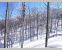 DSCN5695.JPG