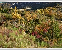 DSCN7213.JPG