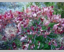 DSCN7218.JPG