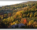 DSCN7219.JPG