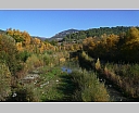P1010567.JPG
