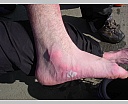 DSCN5631.JPG
