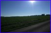 p1010523.jpg
