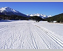 aDSCN5411.JPG