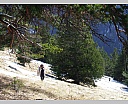 cDSCN5421.JPG