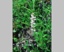 DSCN6609.JPG