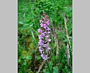 DSCN6610.JPG