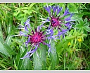 DSCN6629.JPG