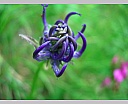 DSCN6632.JPG