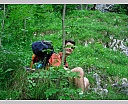 DSCN6634.JPG